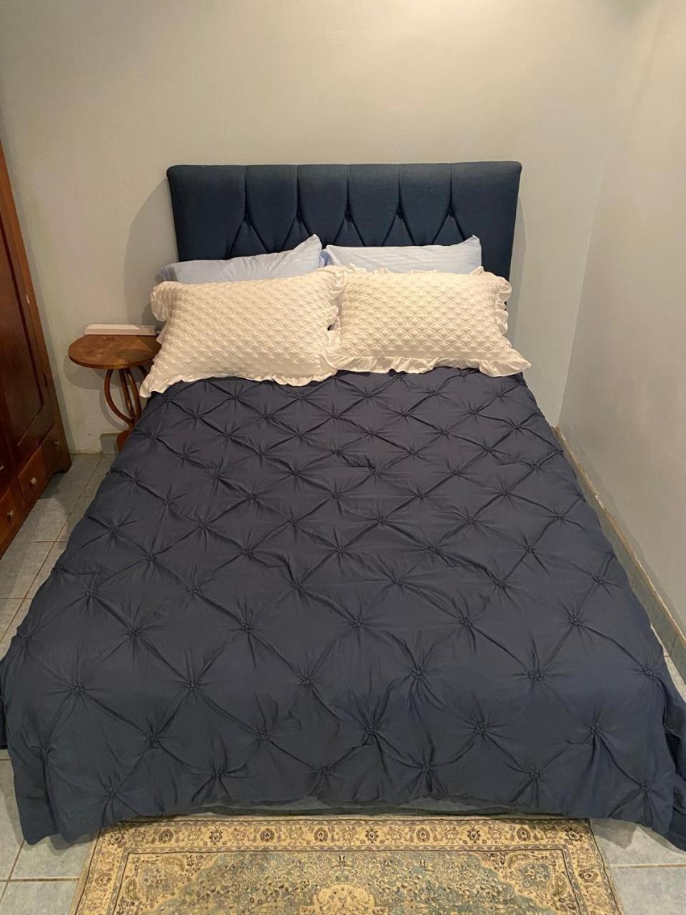 Alexander B&B Alajuela Zewnętrze zdjęcie
