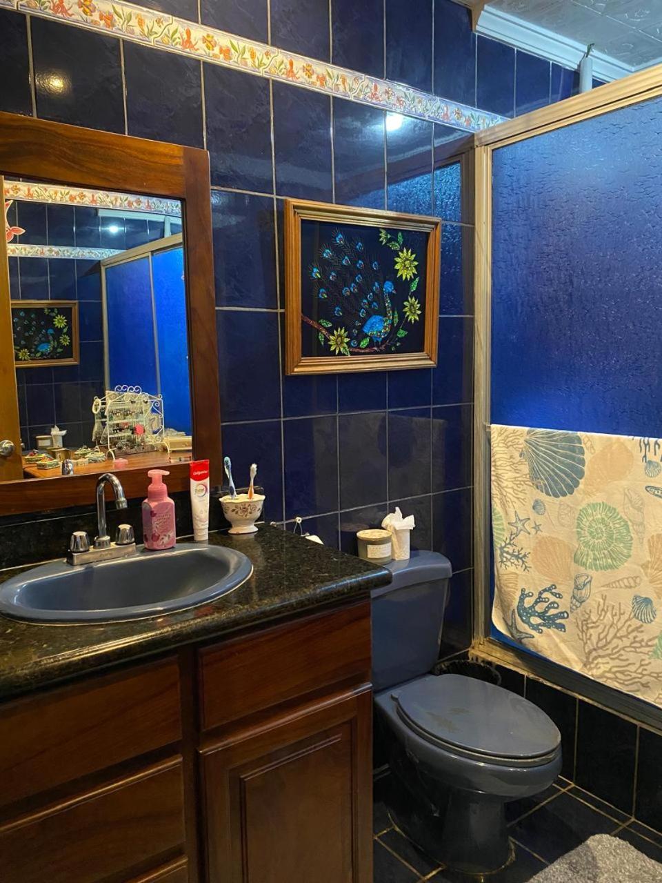 Alexander B&B Alajuela Zewnętrze zdjęcie